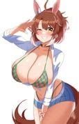 Checkered Bikini Wiki Danbooru