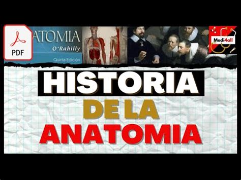 Historia de la anatomía Línea del tiempo a través del tiempo Todo