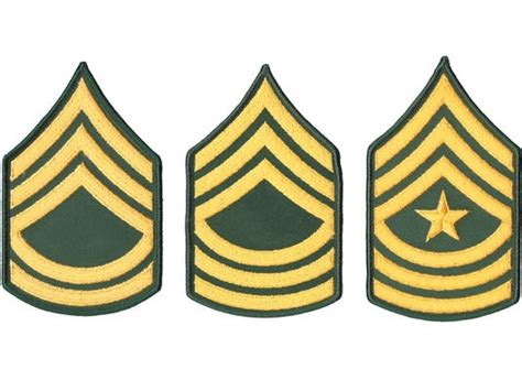 The Army Nco Ranks In The Army