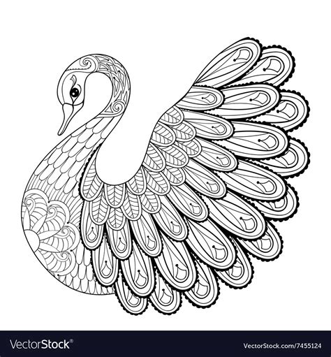 Hand drawing artistic swan for adult coloring Vector Image