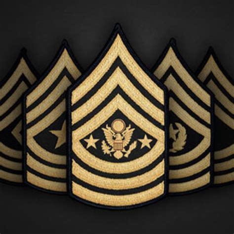 U.S. Army Ranks, Symbols & Insignia | Article | The United States Army