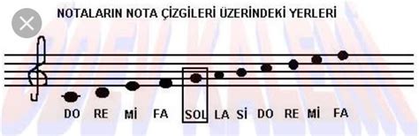 Müzik Dersinde Notalar Sırasıyla Do Re Mİ Fa Sol La Si Do