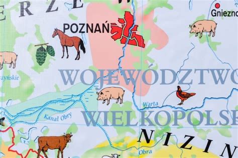 Polska Rolnictwo Mapa Szkolna Na Cian