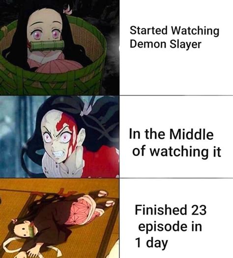 Demon Slayer 10 Hilarious Nezuko Memes That Will Have You Cry Laughing