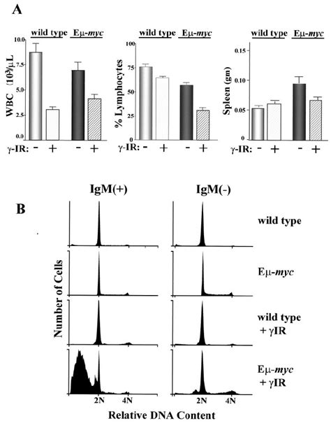 Ir Selectively Compromises B Lymphocyte Survival In E Myc