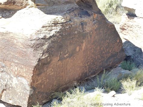 Land Cruising Adventure: Petrified Forest National Forest