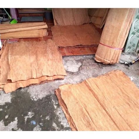 KULIT KAYU HONAI TRAP LANTUNG Lazada Indonesia