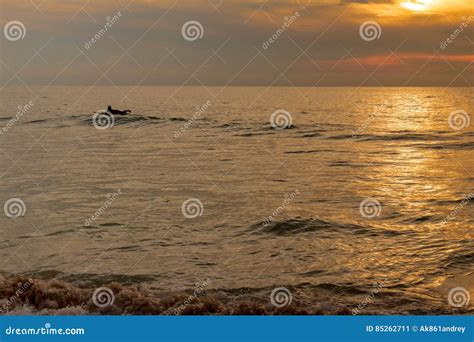 Seascape In Phuket Stock Image Image Of Phuket Sand