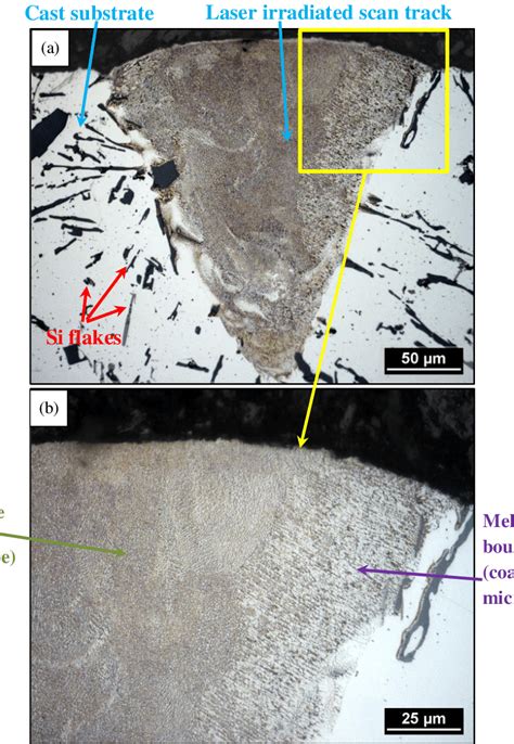 Microstructure of a single track processed using 250 mm/s revealed ... 