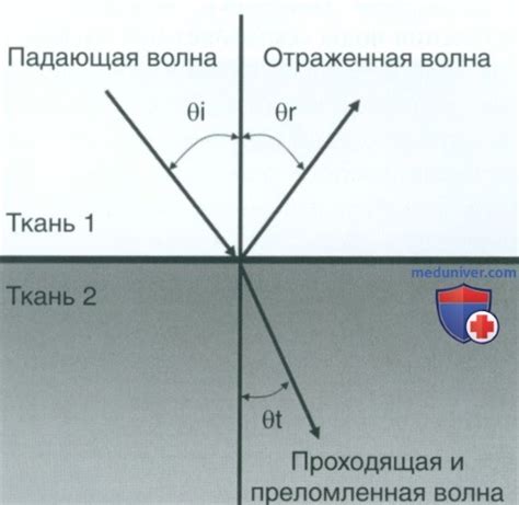 Физические принципы ультразвукового исследования (УЗИ) в урологии