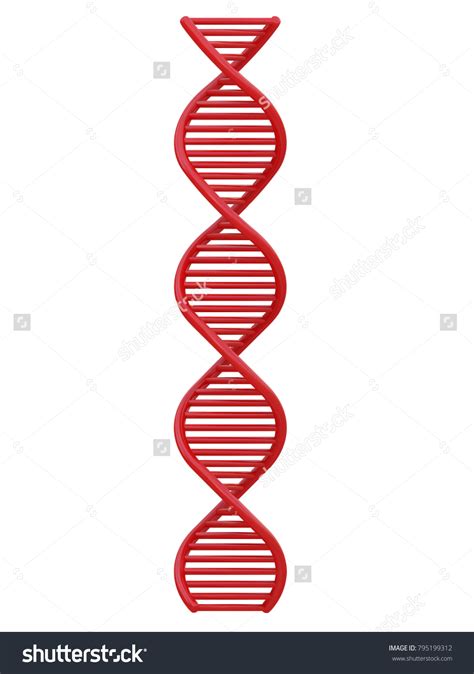 Red Dna String Front View Isolated Stock Illustration