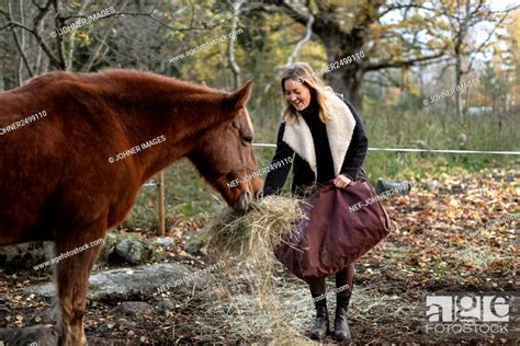 Woman Feeding Horse Stock Photo Picture And Royalty Free Image Pic