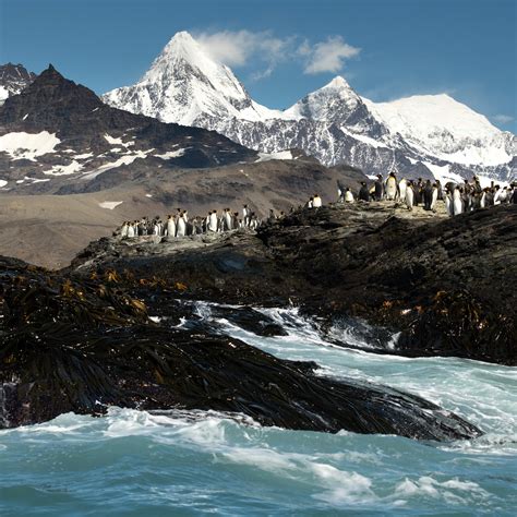 South Georgia Island