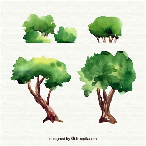 Colección de arboles de acuarela Vector Gratis