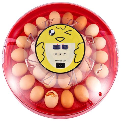 Buy Wuyule Egg Incubator 30 Eggs Digital Incubators For Hatching Eggs