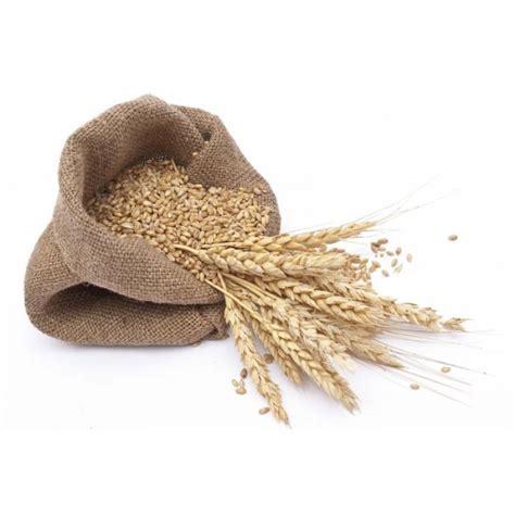 Протеины пшеницы гидролизованные (Hydrolized wheat protein)