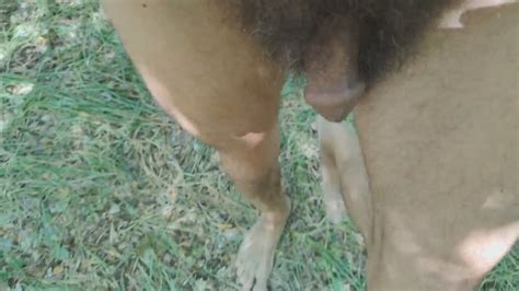 Walking Completely Naked In The Woods Salvatrix Crucifix Clips Sale