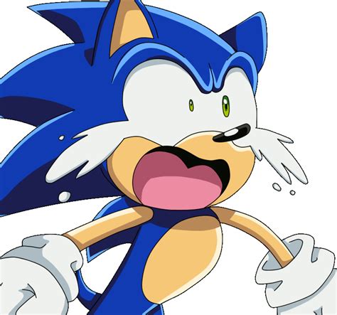 Sonicyou Ate All The Food Don T Feel So Good Memes 785x734 Png