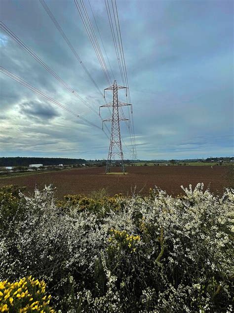 Blossoming Hedgerow Graham Hogg Cc By Sa Geograph Britain And