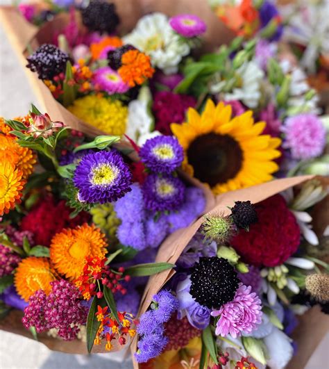 Bloomingdale Farmers Market