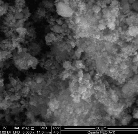 Sem Of Alumina Nanoparticles Download Scientific Diagram