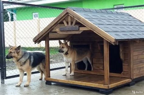 Будка для овчарки своими руками (74 фото) - картинки sobakovod.club