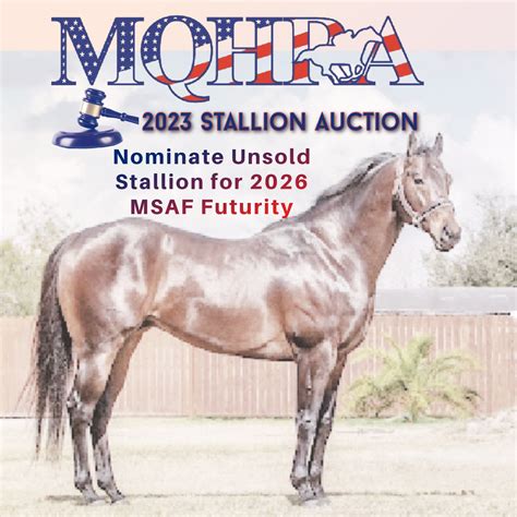 2023 Auction/2026 Futurity Stallion Nomination | MQHRA