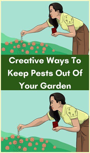 Expert Gardener Shares 6 Nifty Ways To Keep Pests From Garden These