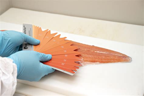 Stressed salmon become paler - Nofima