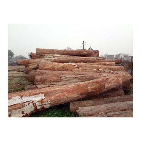 Timber Wood Round Logs At Rs Cubic Feet Round Logs In Gohana Id