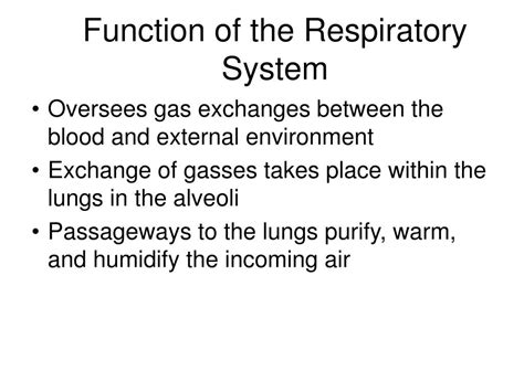 PPT - Function of the Respiratory System PowerPoint Presentation, free ...