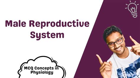 Male Reproductive System Mcq Concepts Youtube