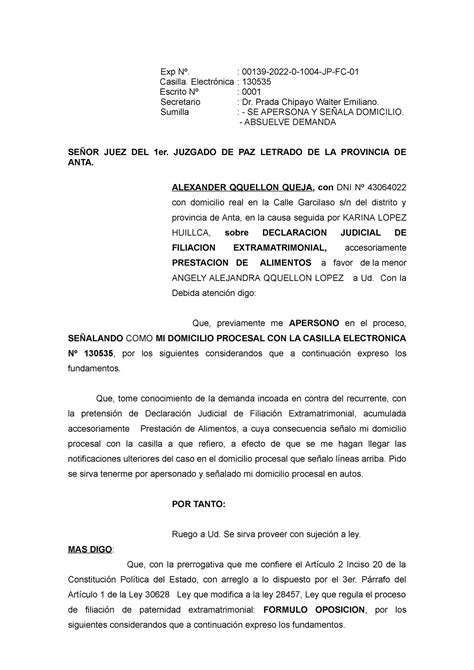 Contestacion Demanda De Filiacion Y Alimentos Alexander Qquellon