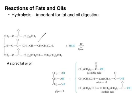 Hydrolysis Of Fats And Oils