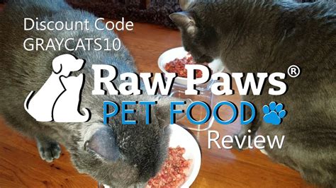 Review Of Raw Paws Pet Food For Dogs And Cats Youtube