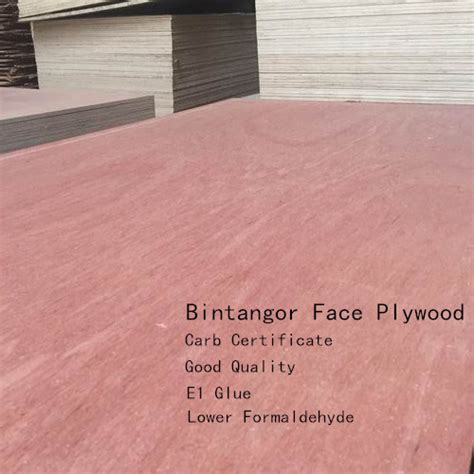 Carb Certificate Bintangor Face Plywood E Glue China Plywood And