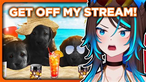 The Council Took Over Sinder S Bikini Debut YouTube