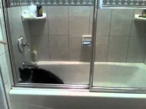 My Pussy S Wet YouTube