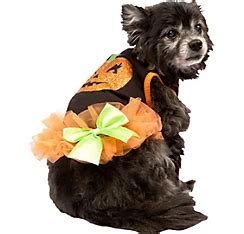 Classic Dog Costumes - Party City