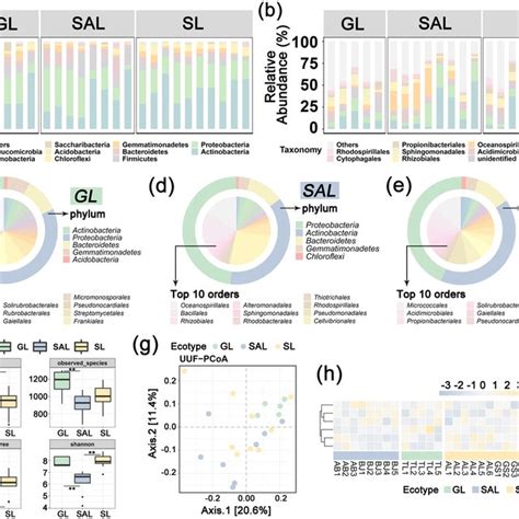 Classification Of The Microbial Community Composition Across The Three