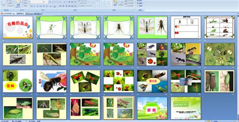幼儿园中班多媒体科学教育有趣的昆虫 PPT课件