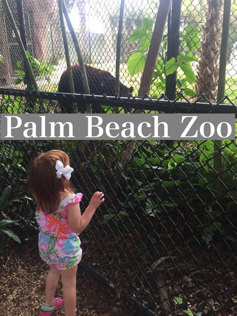 Palm Beach Zoo • Happy Family Blog