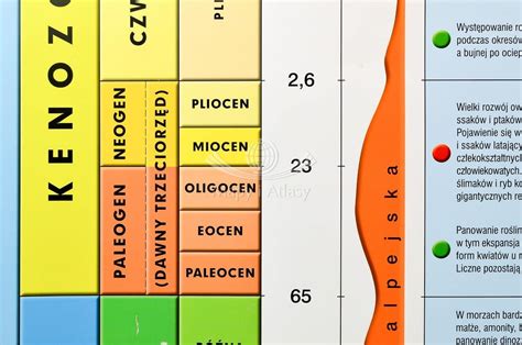 DZIEJE ZIEMI PLANSZA EDUKACYJNA DWUSTRONNA