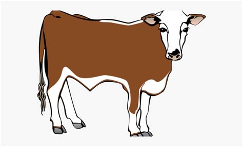 Free Hereford Cow Cliparts, Download Free Hereford Cow Cliparts png ...