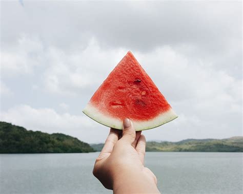 How Watermelon Became Oklahomas State Vegetable