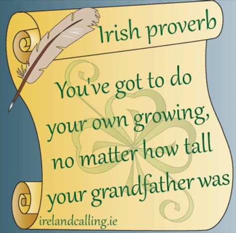 Pin By Robert Tester On Inspiring Ideas Irish Quotes Irish Proverbs