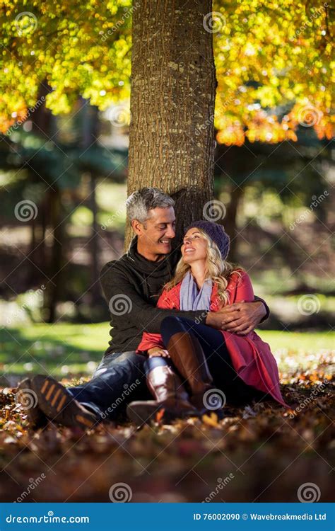 Romantic Couple Sitting Under Tree At Park Stock Photo Image Of