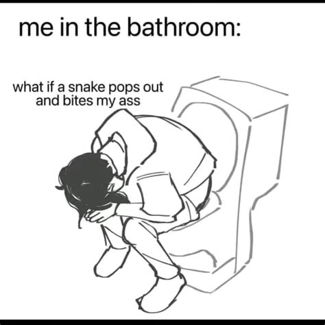 Me In The Bathroom What If A Snake Pops Out And Bites My Ass Funny