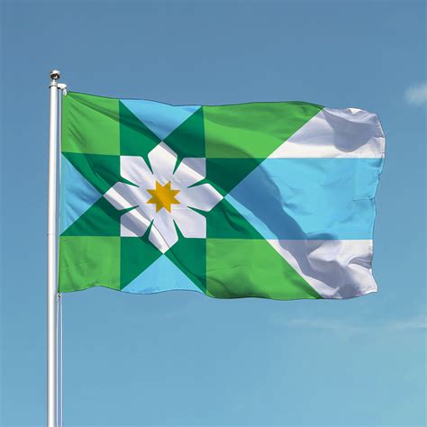 Minnesota State Flag & Seal Project :: Behance