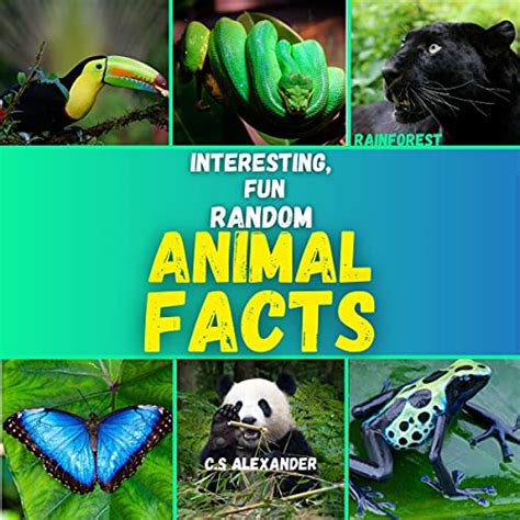 Interesting, Fun Random Animal Facts by C.S Alexander - Audiobook ...